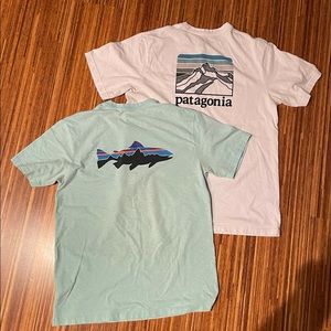 Patagonia Responsibili-Tee Shirt